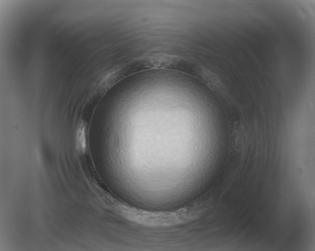 X0000081370042200701182150