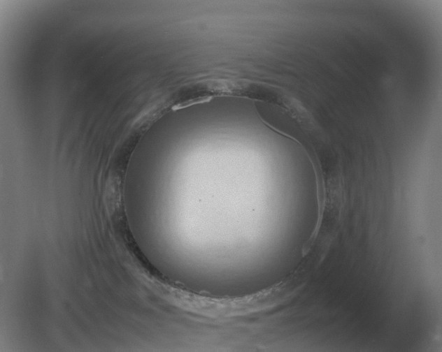 X0000081370043200701182150
