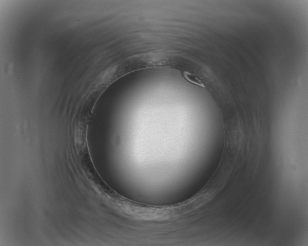 X0000081370044200701182150