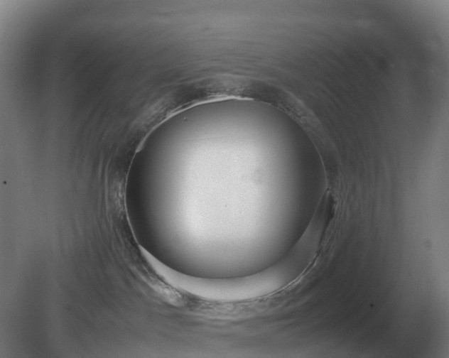 X0000081370045200701182150