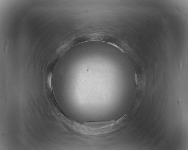 X0000081370047200701182150