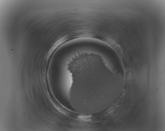 X0000081370051200701182149