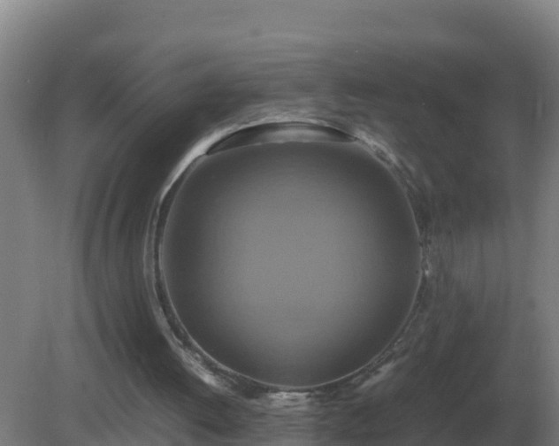 X0000081370052200701182149