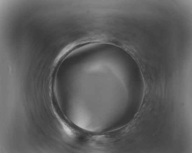 X0000081370054200701182149