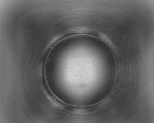 X0000081370058200701182149