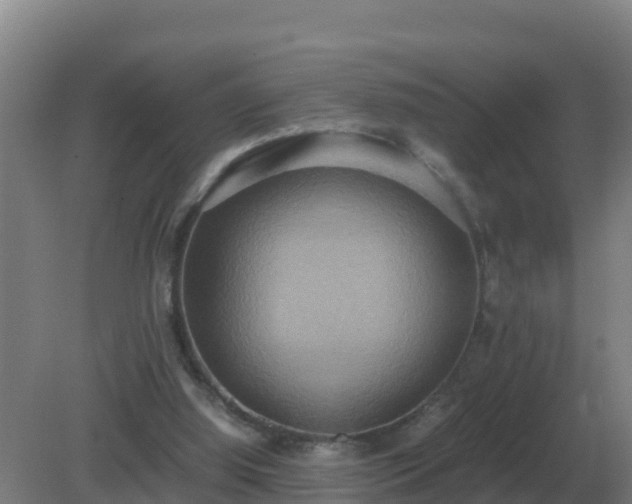 X0000081370060200701182149
