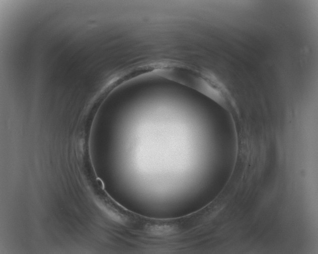X0000081370063200701182149