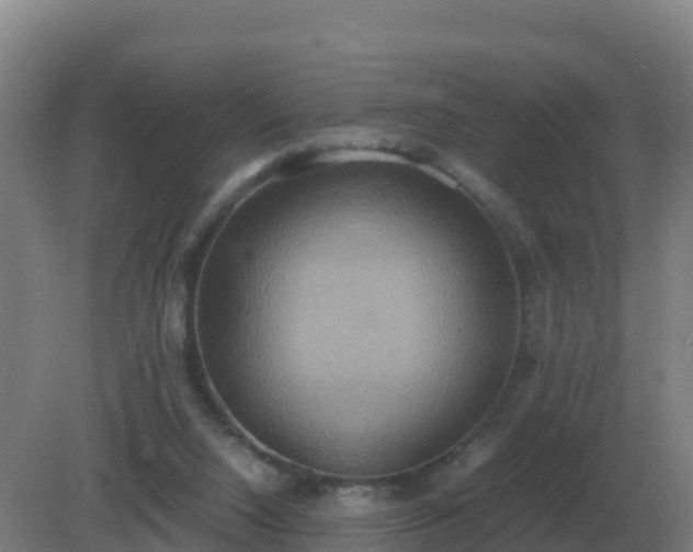 X0000081370064200701182149