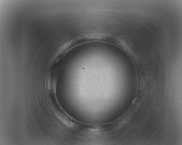 X0000081370068200701182150