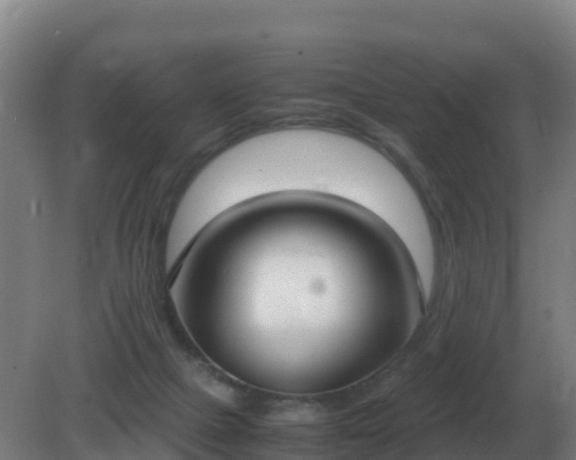 X0000081370073200701182150
