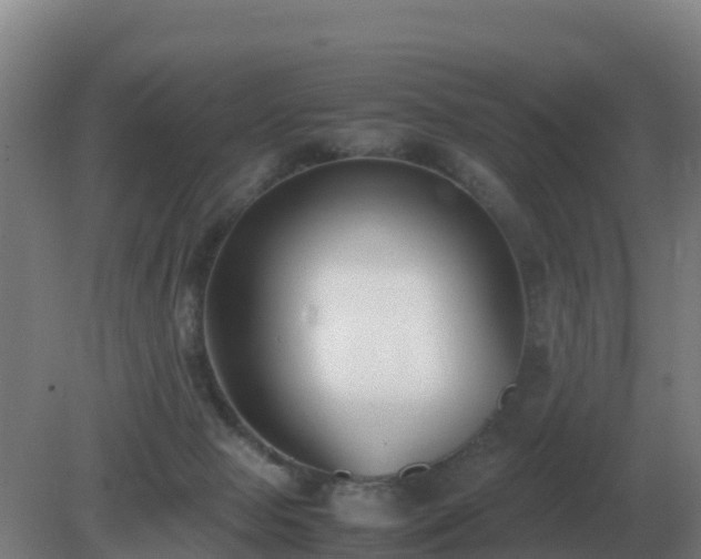 X0000081370077200701182150