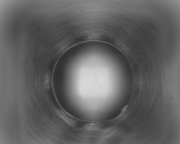 X0000081370082200701182150