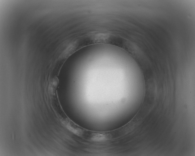 X0000081370083200701182150