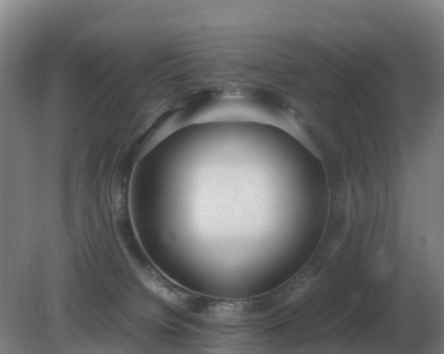 X0000081370084200701182150