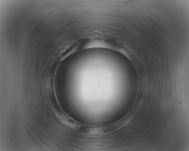 X0000081370088200701182150