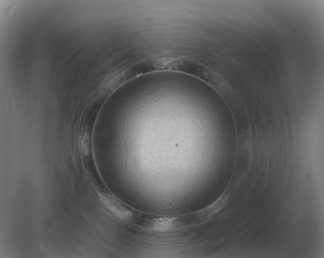 X0000081370090200701182150