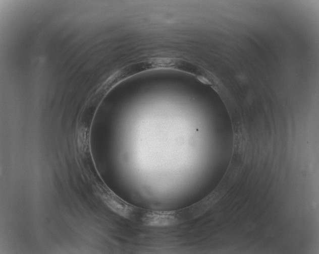 X0000081370093200701182150