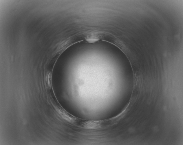 X0000081370094200701182150