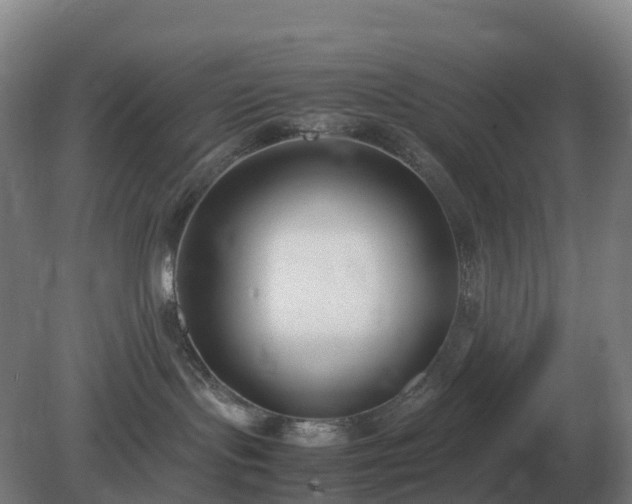X0000081370095200701182150