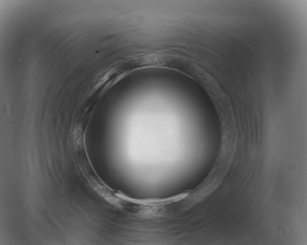 X0000081370096200701182150