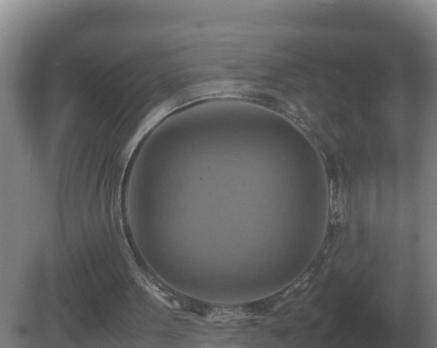 X0000081370099200701182149