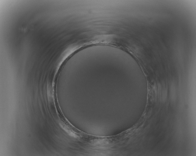 X0000081370100200701182149