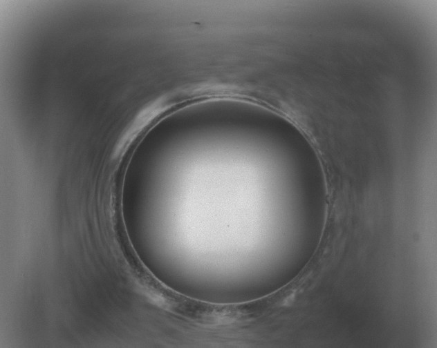 X0000081370103200701182149