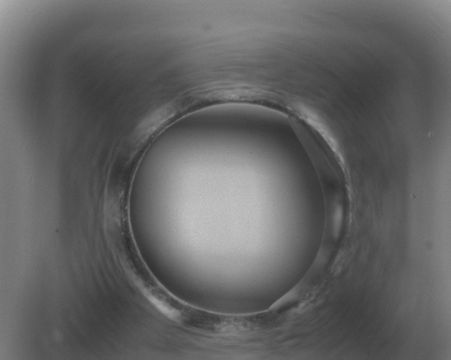 X0000081370105200701182149