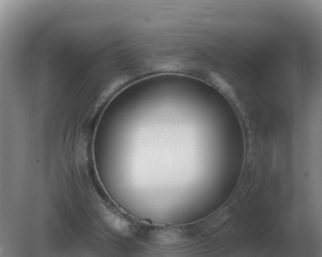 X0000081370106200701182149