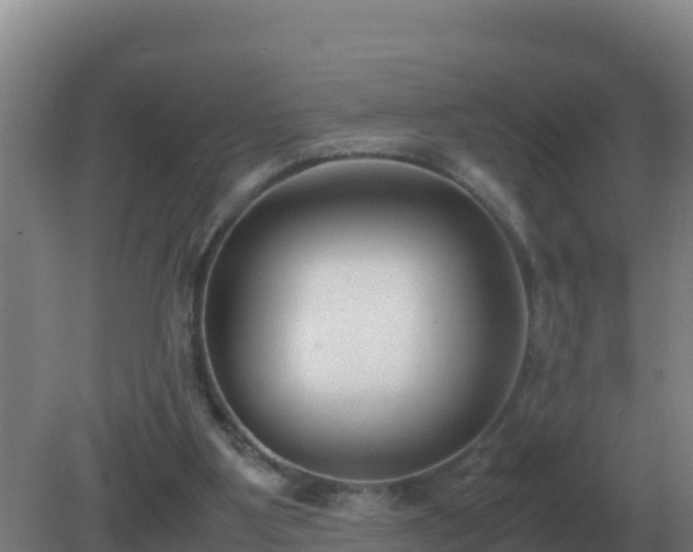 X0000081370107200701182149