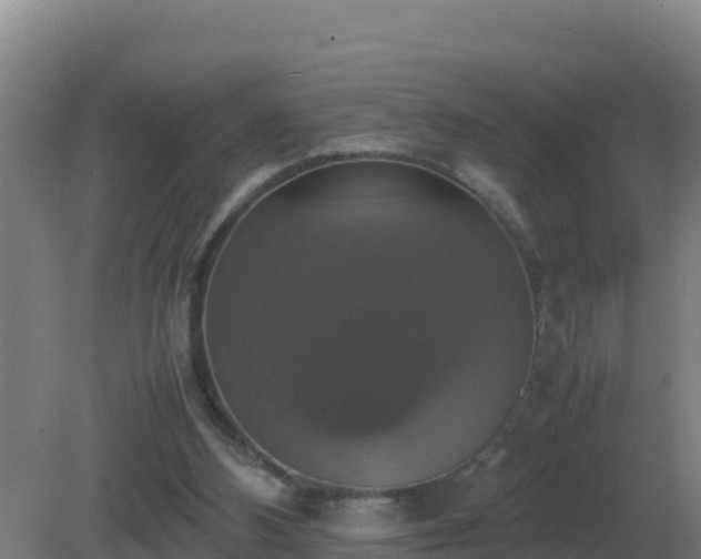 X0000081370108200701182149