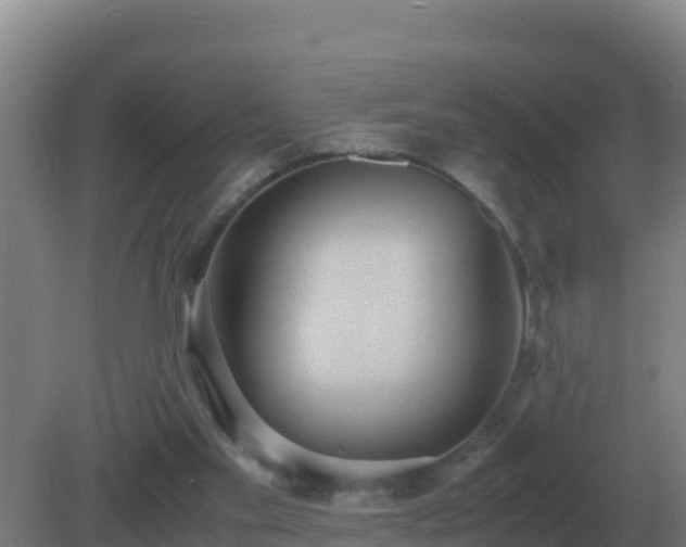 X0000081370109200701182149