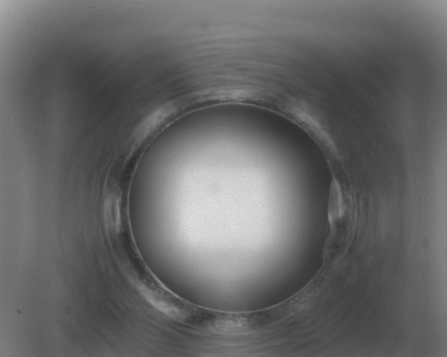 X0000081370110200701182149