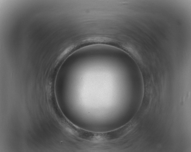 X0000081370111200701182149