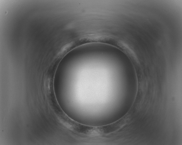 X0000081370115200701182149