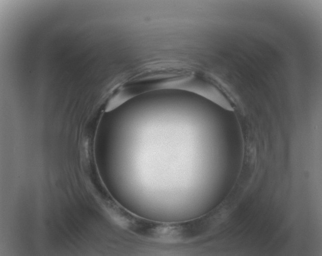 X0000081370117200701182149