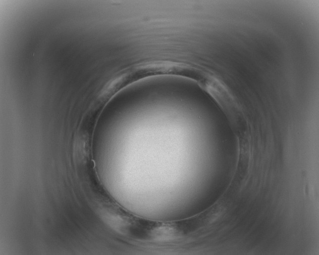 X0000081370119200701182149