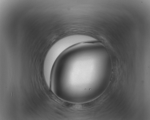 X0000081370123200701182149