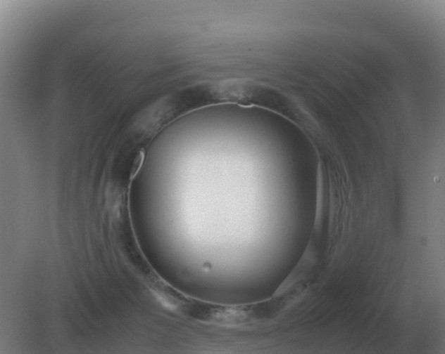 X0000081370125200701182149
