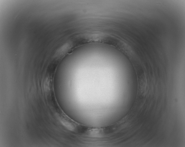 X0000081370126200701182149