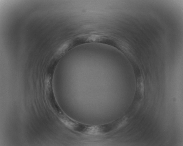 X0000081370127200701182149