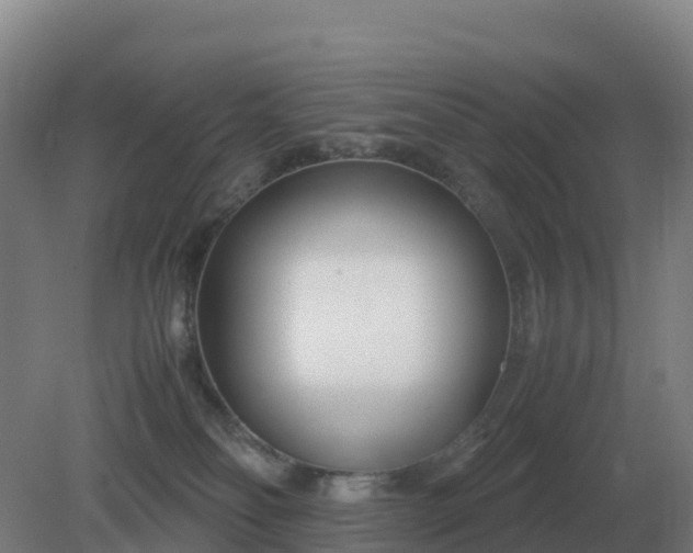 X0000081370134200701182149