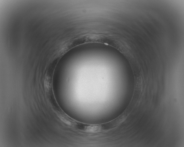 X0000081370135200701182149