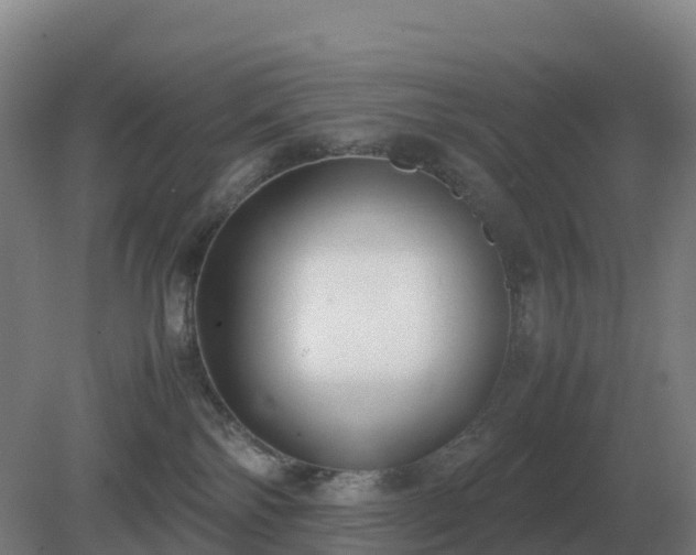 X0000081370138200701182148