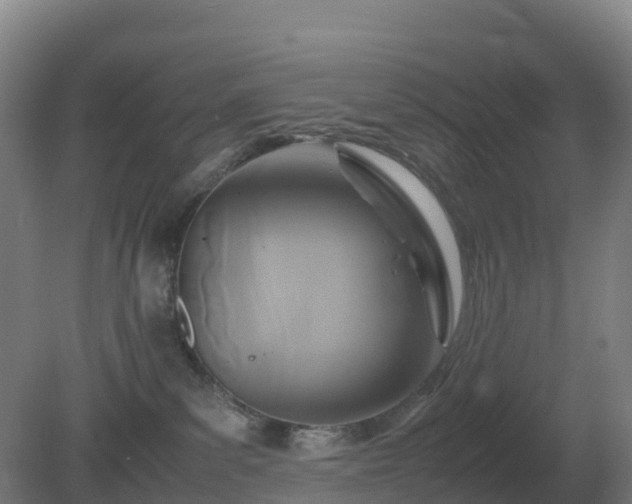 X0000081370139200701182148