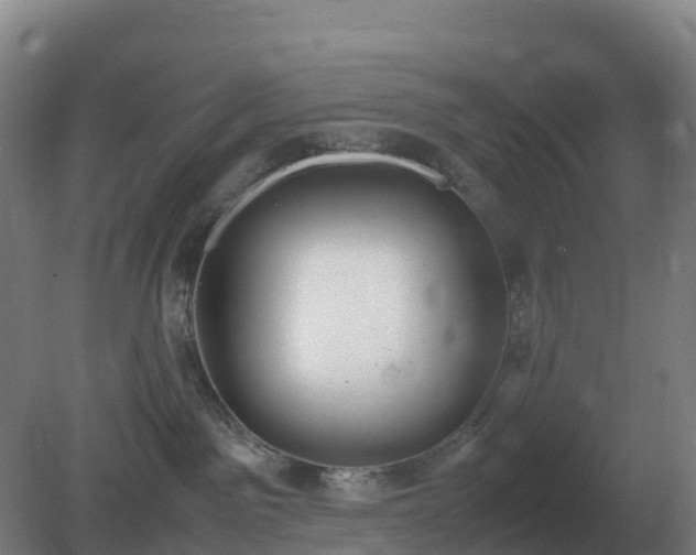 X0000081370141200701182148