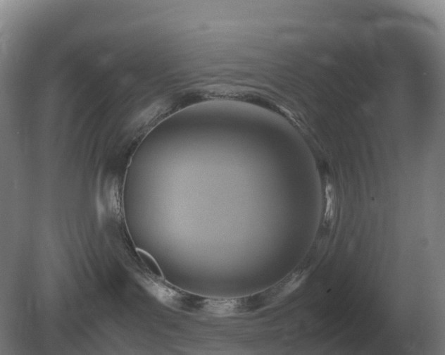 X0000081370143200701182148