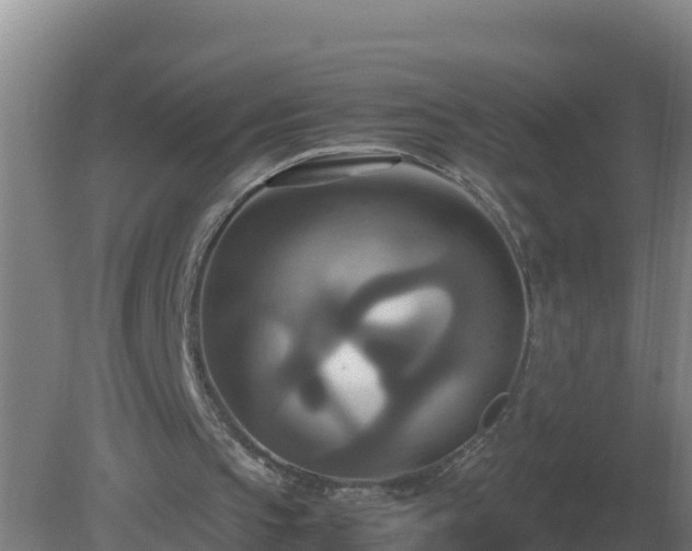 X0000081370145200701182148