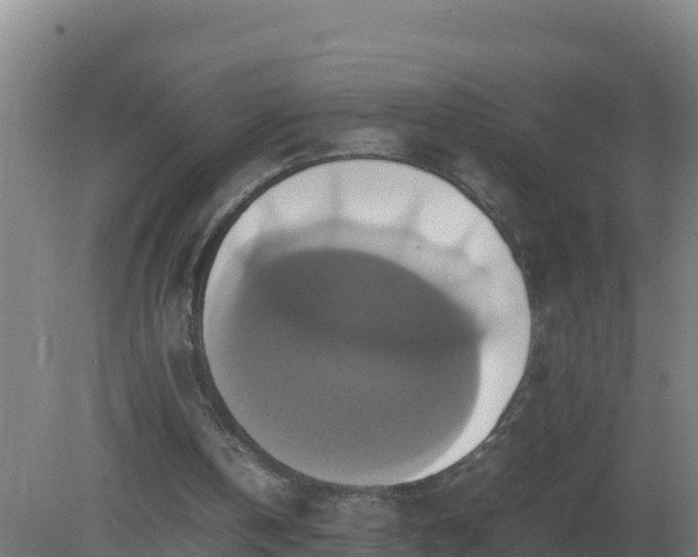 X0000081370146200701182148