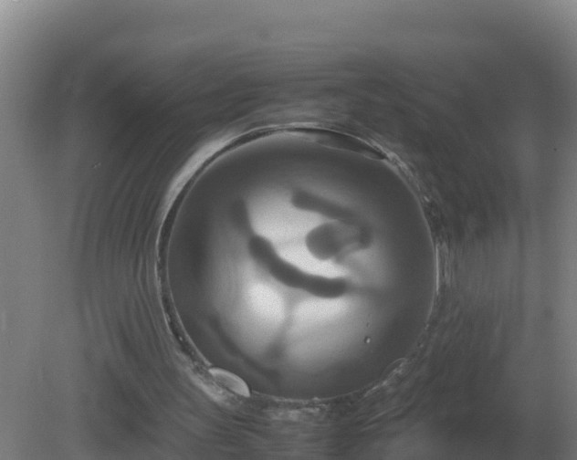 X0000081370147200701182148